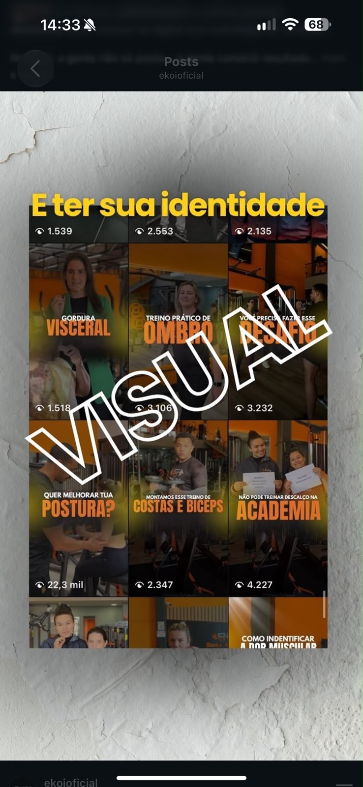 Recorte de exemplo compartilhado pela EKOI: conteúdos de academia com títulos amarelos, fotografias e uma linguagem visual consistente.